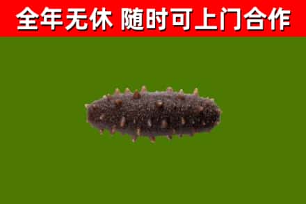 香洲区烟酒回收干海参.jpg